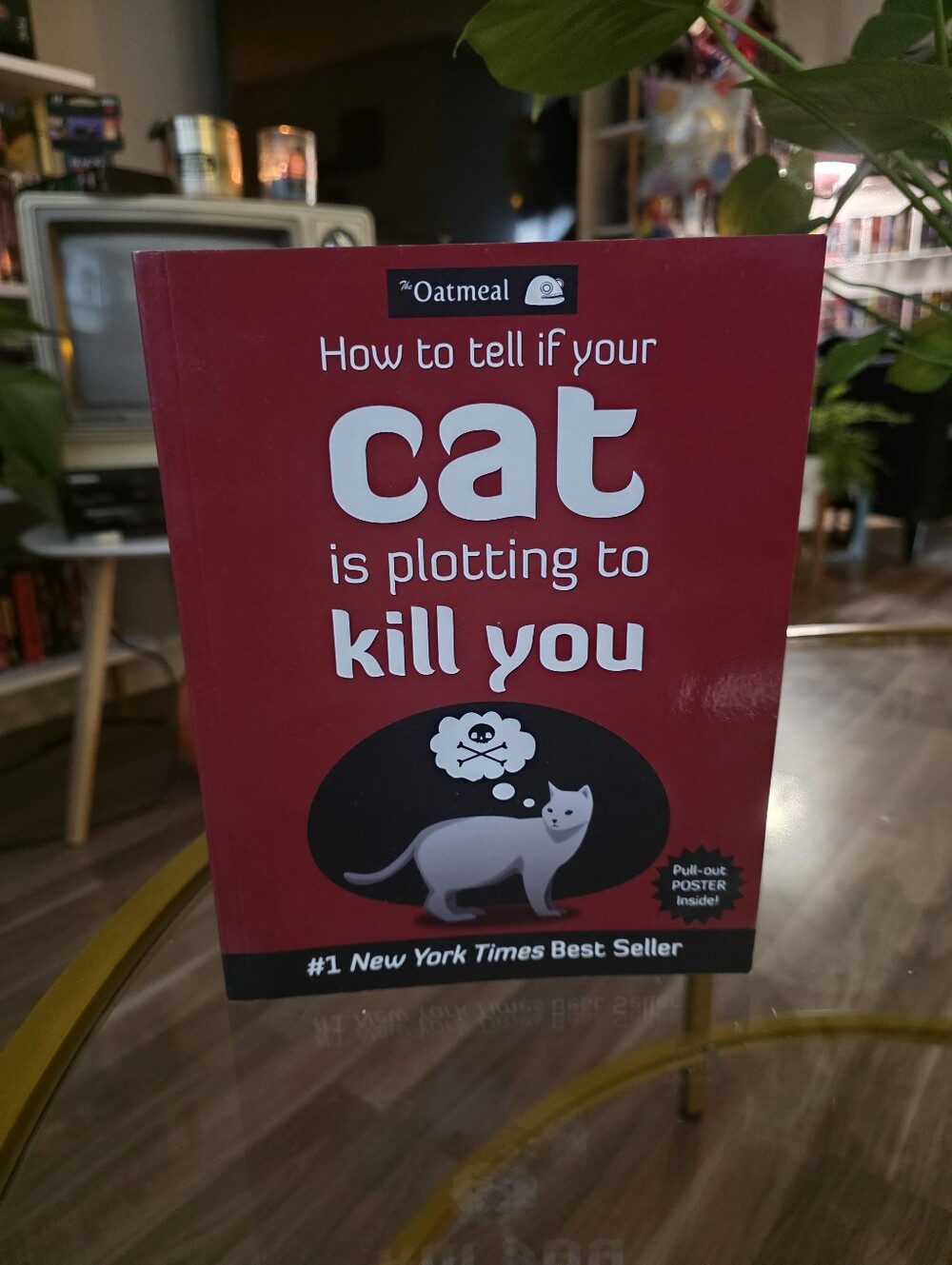 How to Tell If Your Cat Is Plotting to Kill You - Large Paperback Book